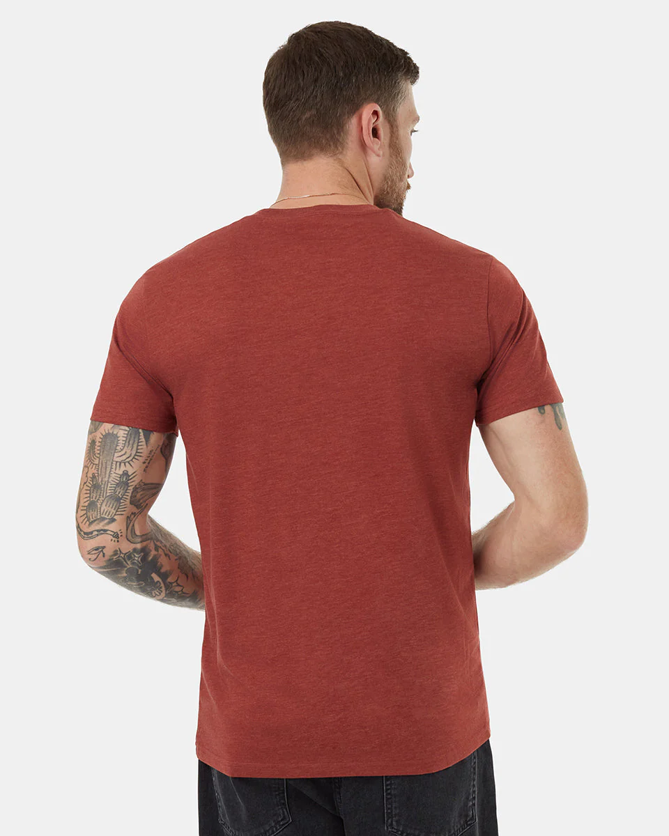 Bear Claw T-Shirt - Image 3