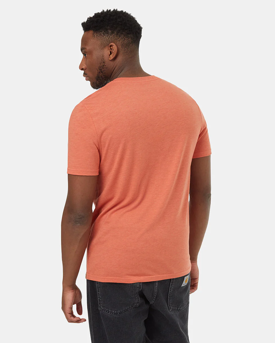 Bear Claw T-Shirt - Image 3