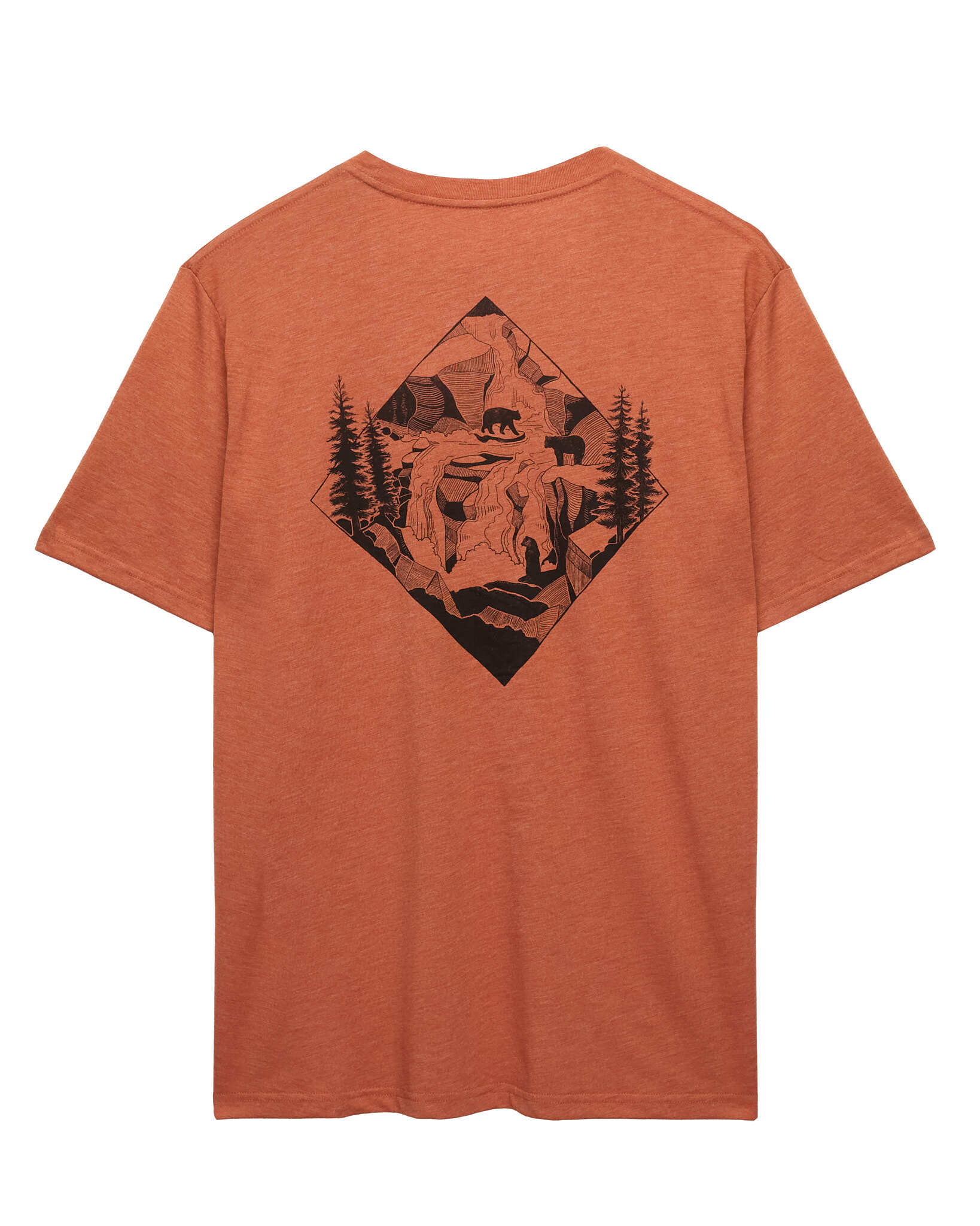 Bear Ridge T-Shirt - Image 4