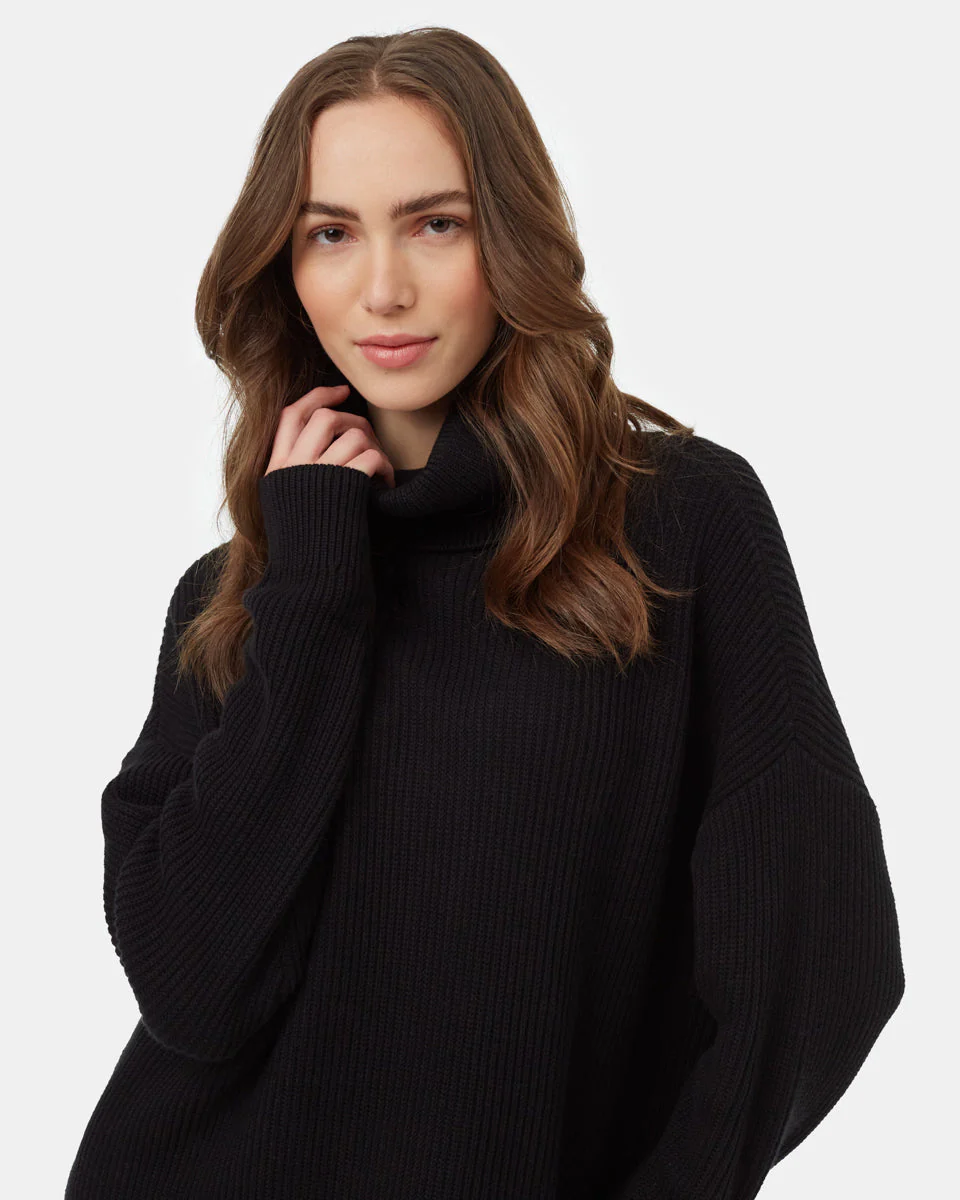 Highline Oversized Turtleneck Dress - Image 4