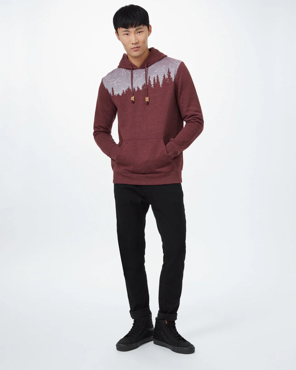 Constellation Juniper Hoodie - Image 2