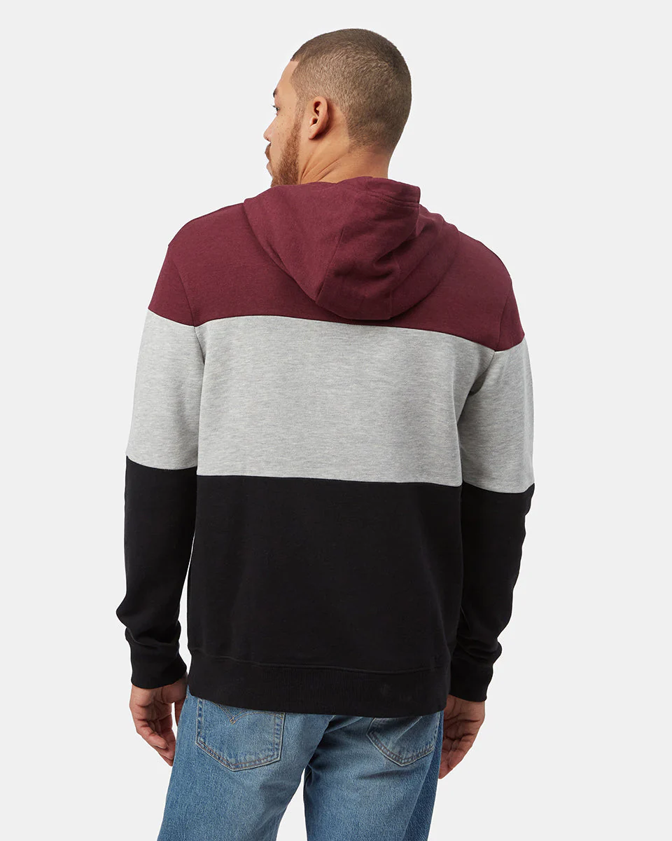 TreeFleece Blocked Reynard Hoodie - Image 3