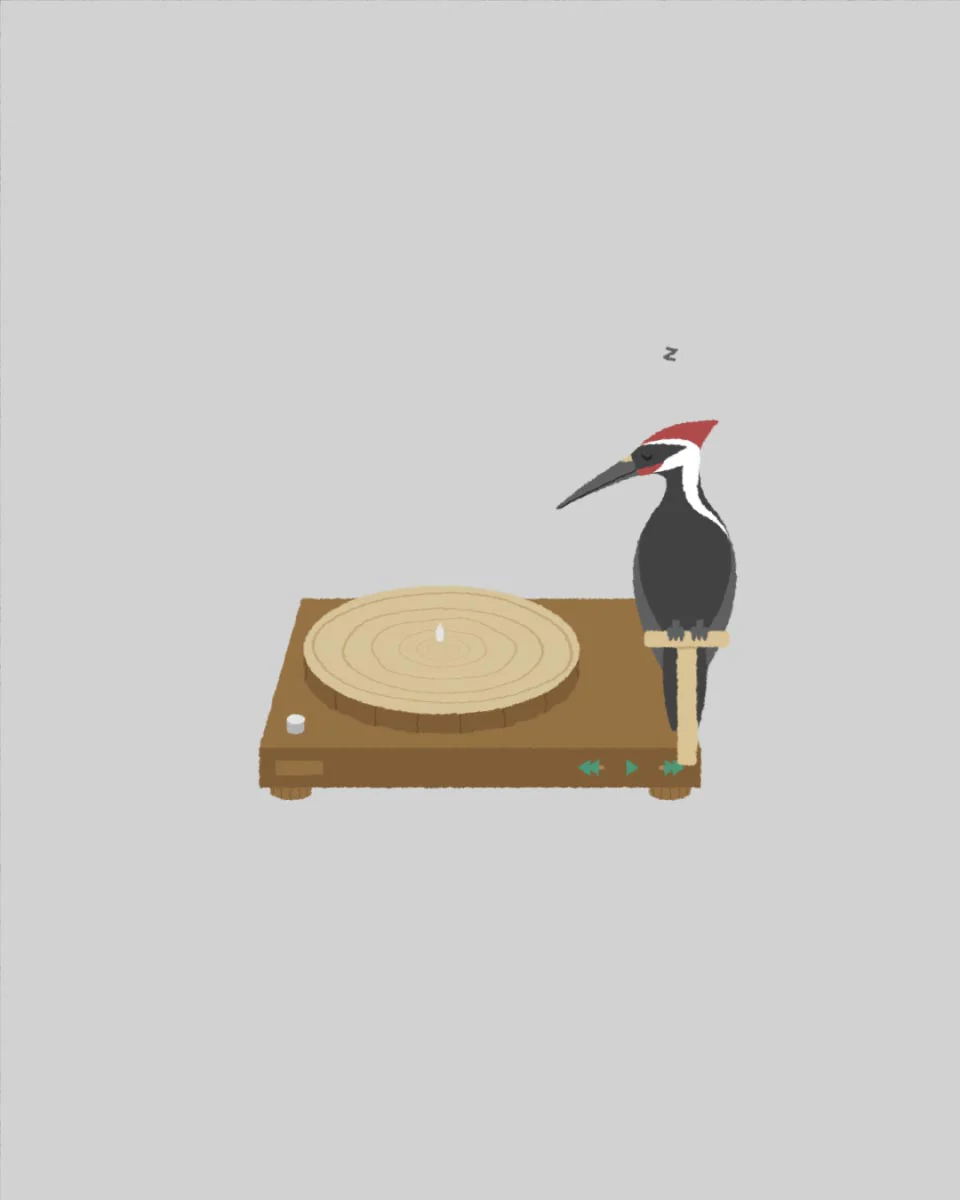 Sequester a Hipster's Lifestyle - Image 2