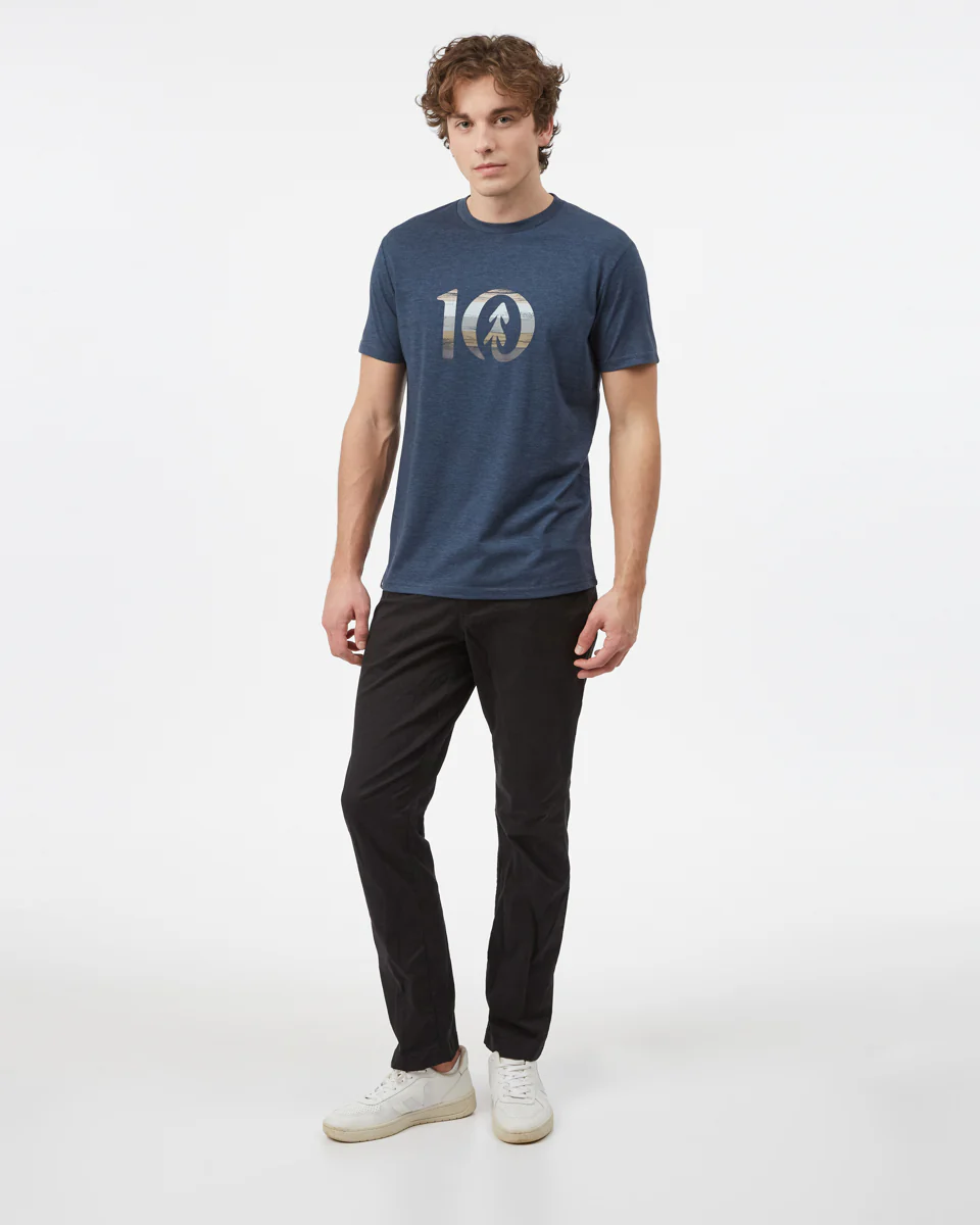 Spruce Stripe Ten T-Shirt - Image 2