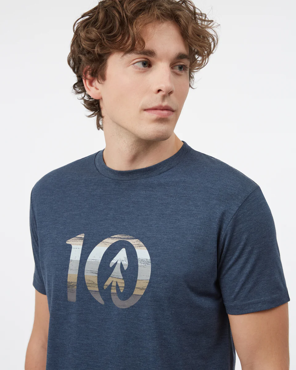 Spruce Stripe Ten T-Shirt - Image 4