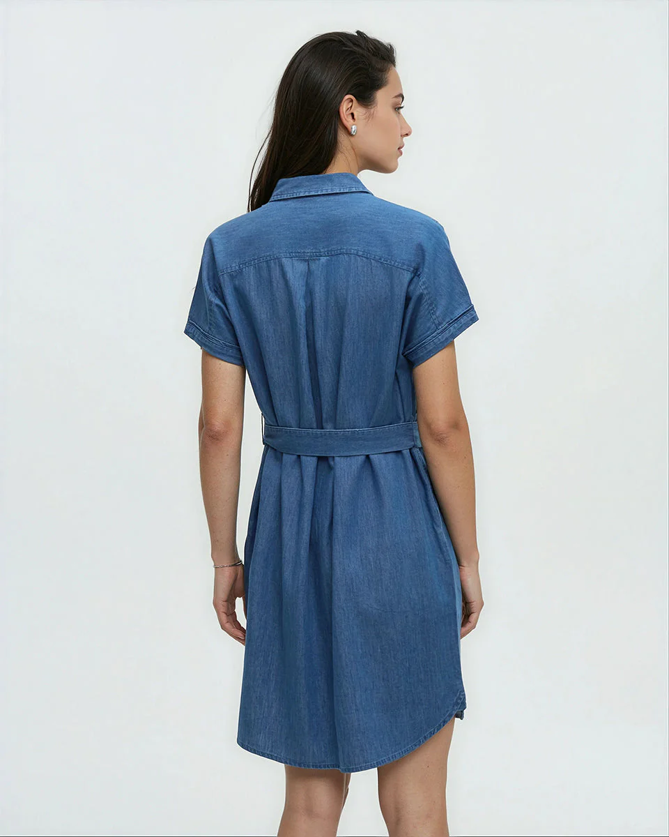 Denim Tern Dress - Image 3
