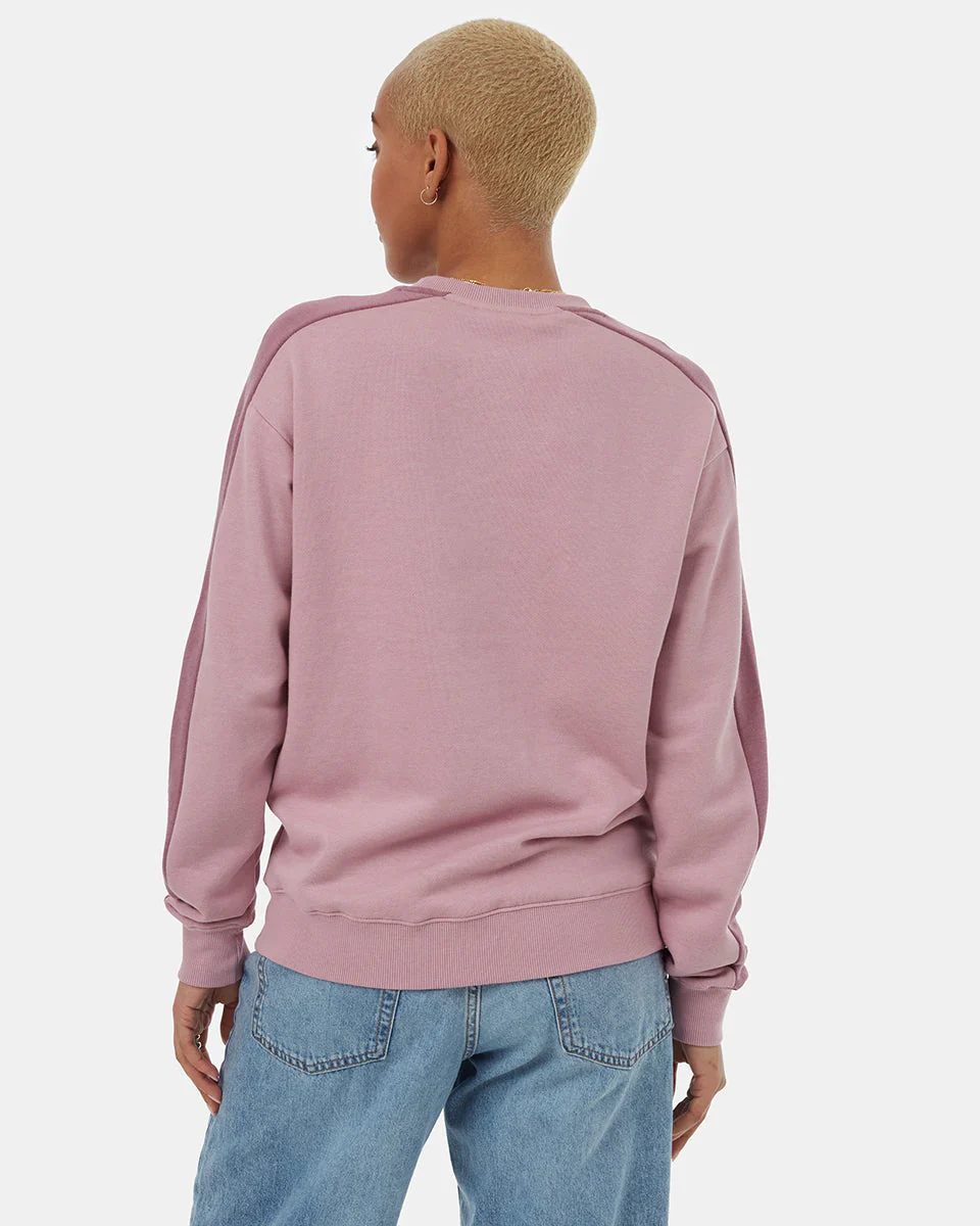 Blocked Sleeve Stripe Crew - Image 3