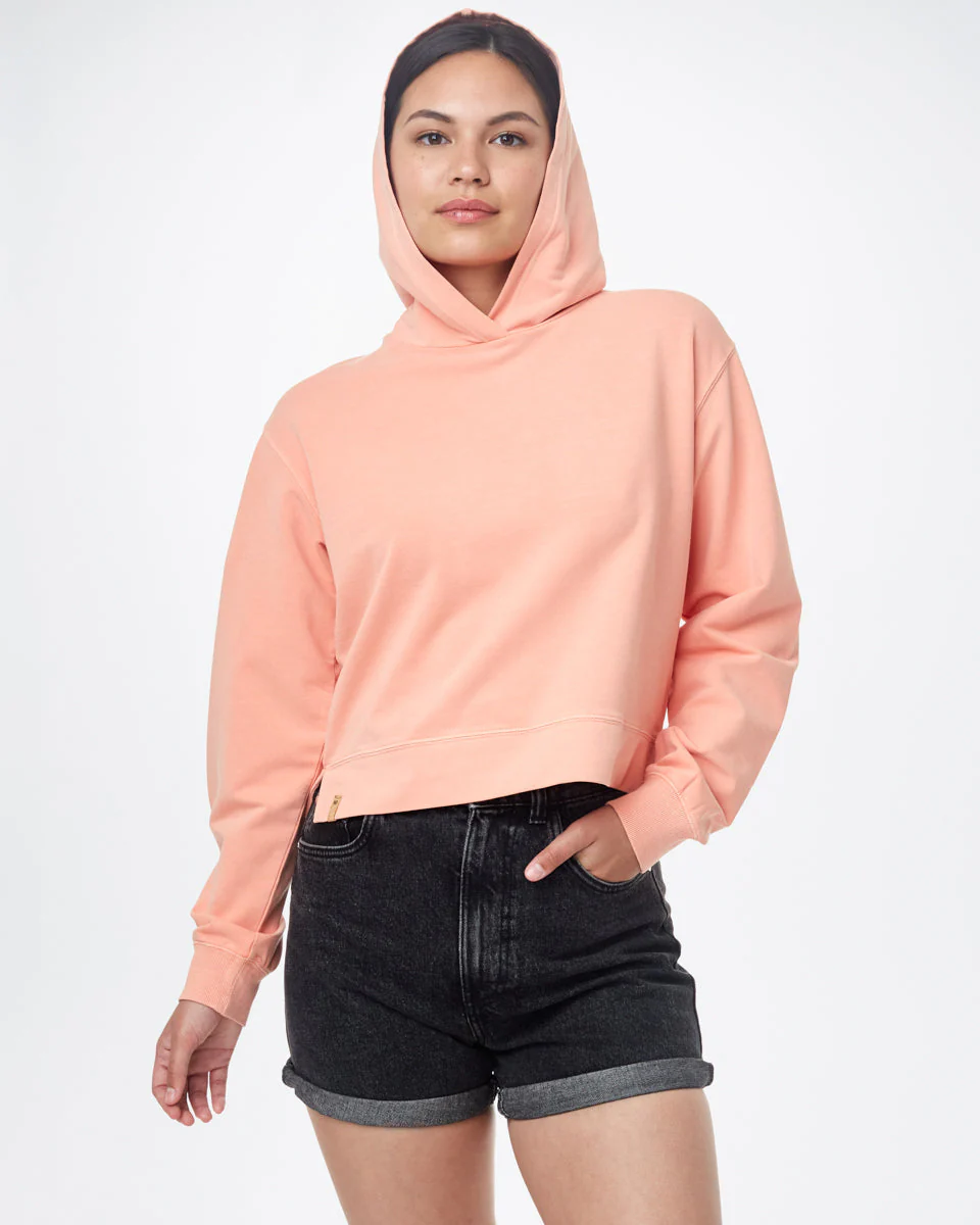 French Terry Cropped Hoodie
