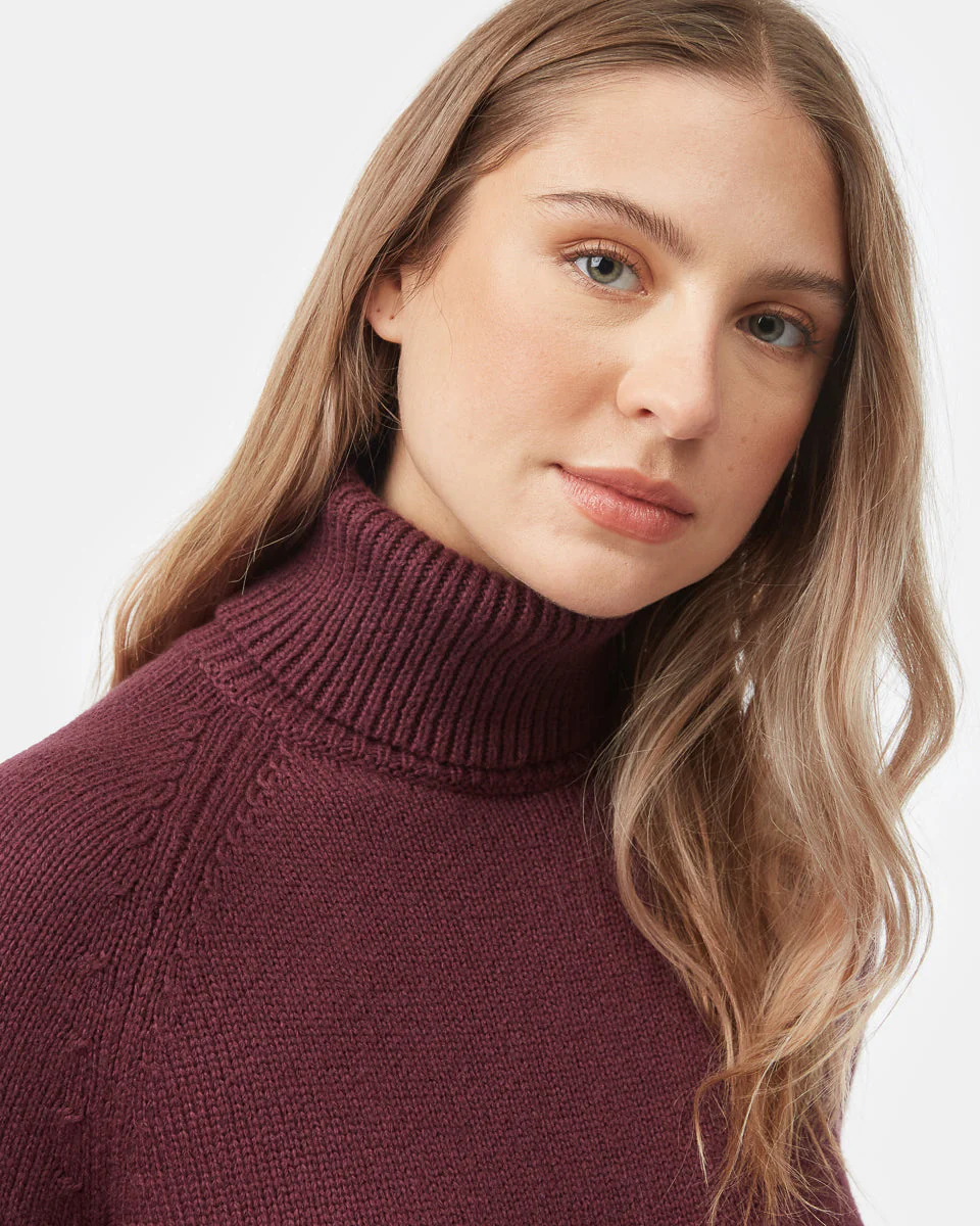 Highline Turtleneck Dress - Image 4