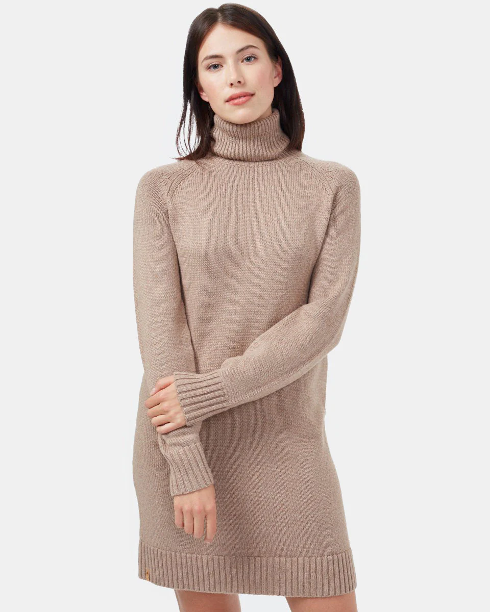 Highline Turtleneck Dress - Image 4