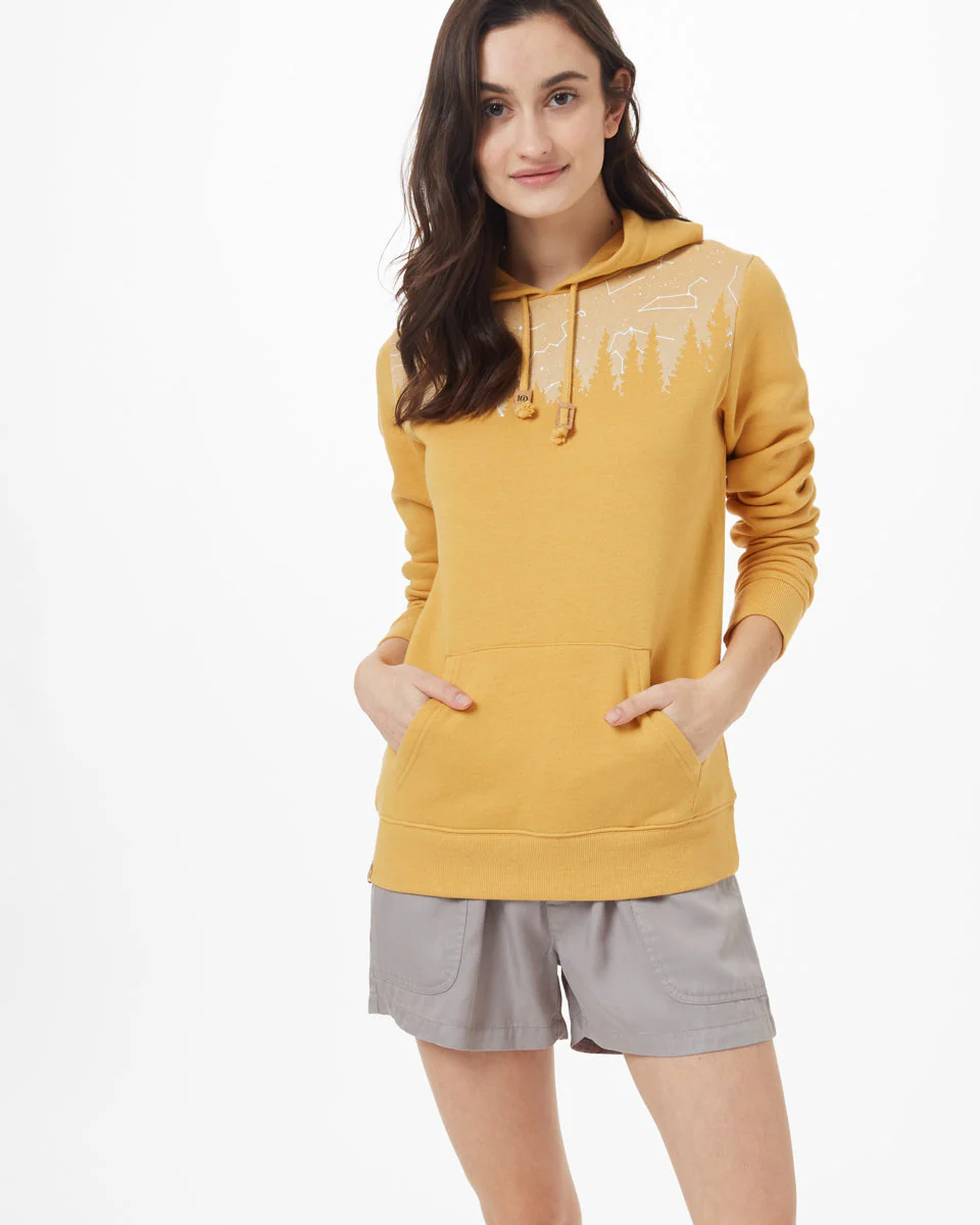Constellation Juniper Hoodie - Image 3