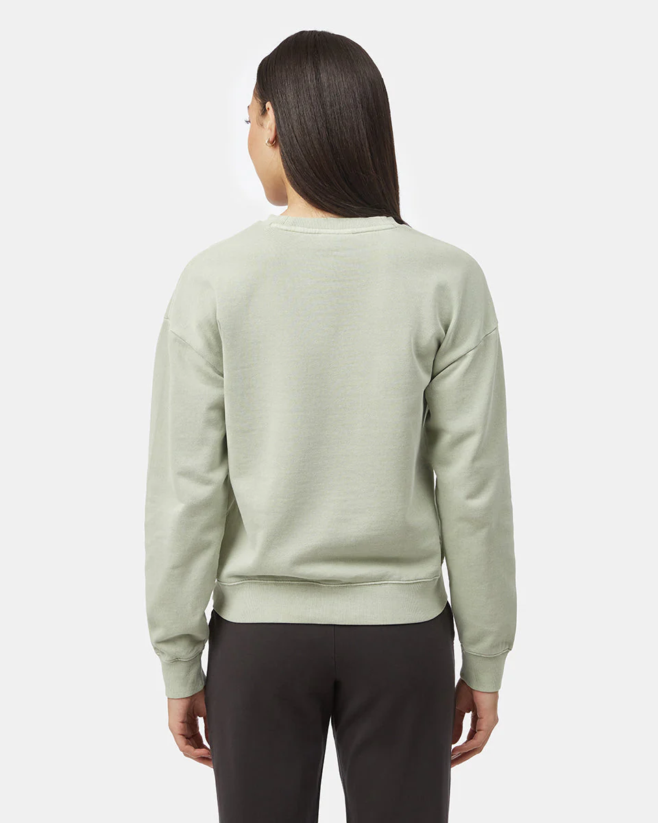 Organic Cotton French Terry Crew - Image 3