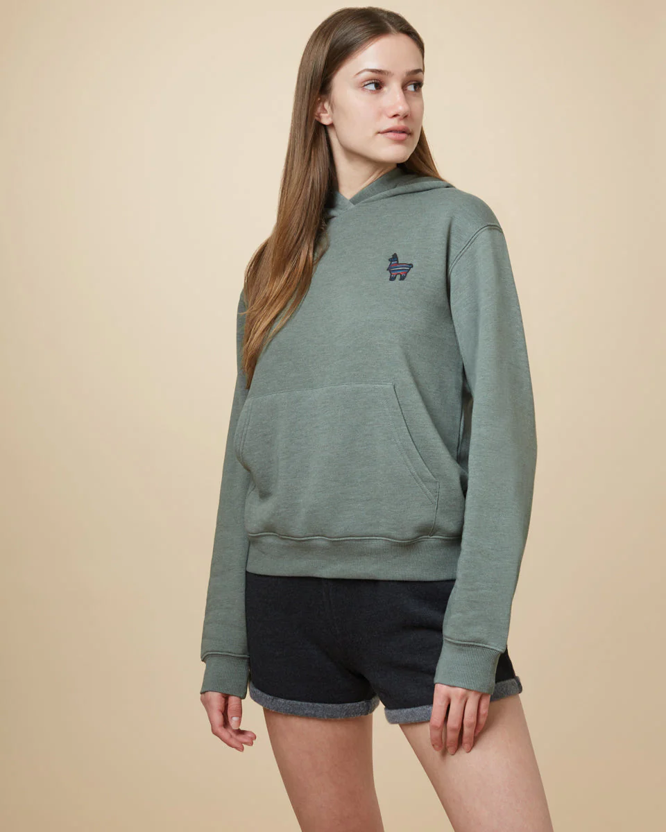 Peru Embroidered Llama Hoodie - Image 2