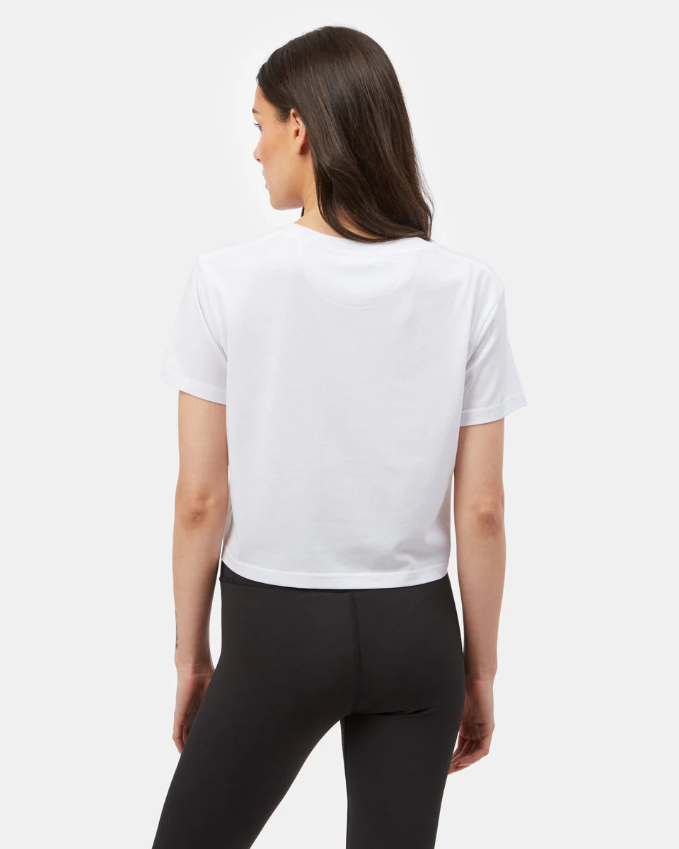Sugar Leaf Cropped T-Shirt - Image 5