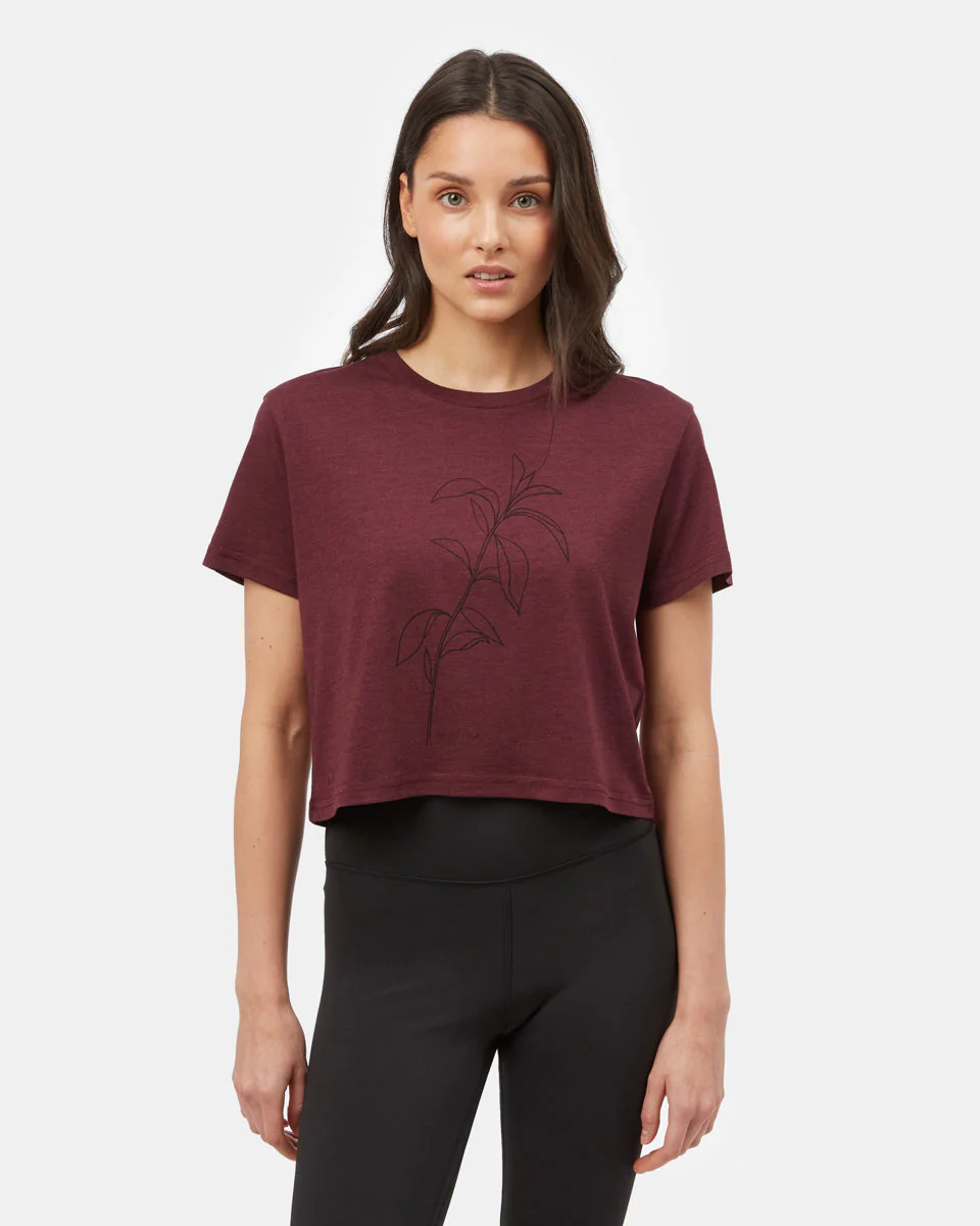 Sugar Leaf Cropped T-Shirt - Image 2