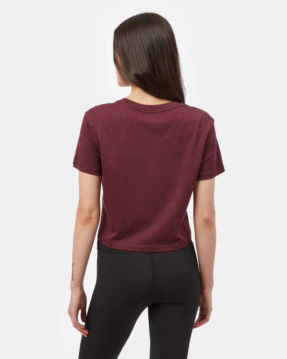 Sugar Leaf Cropped T-Shirt - Image 3