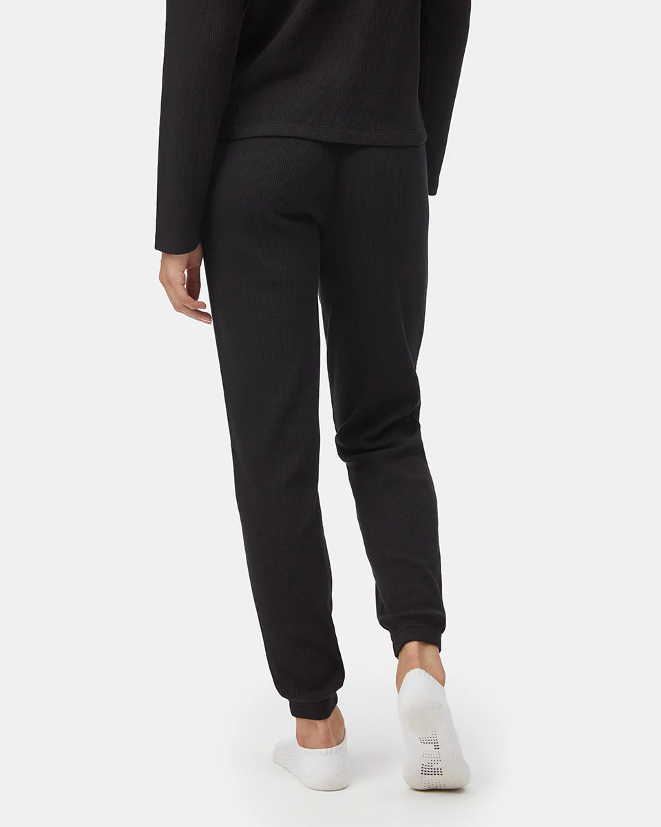 Treewaffle Fulton Jogger - Image 3